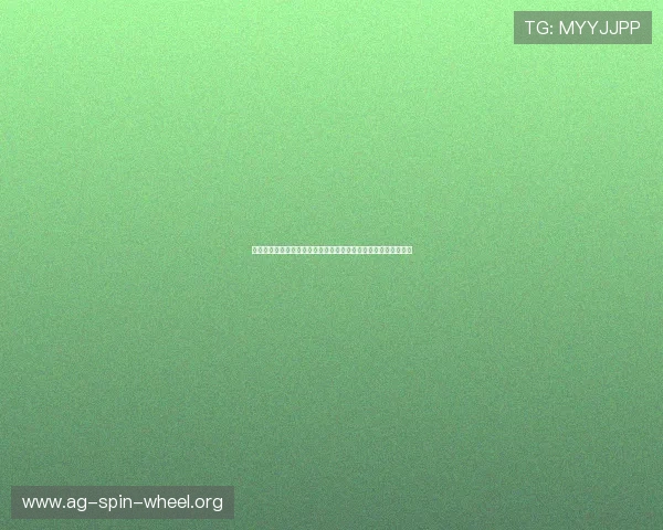 新西兰对比利时比赛经验总结：球队战术调整与关键球员发挥分析